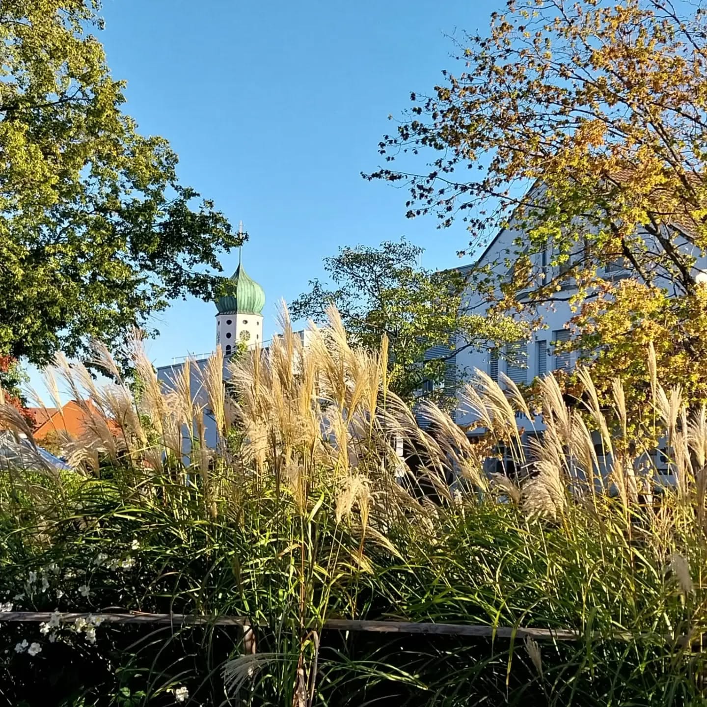 Herbstzauber vor unserem Wartezimmer-Fenster ??...