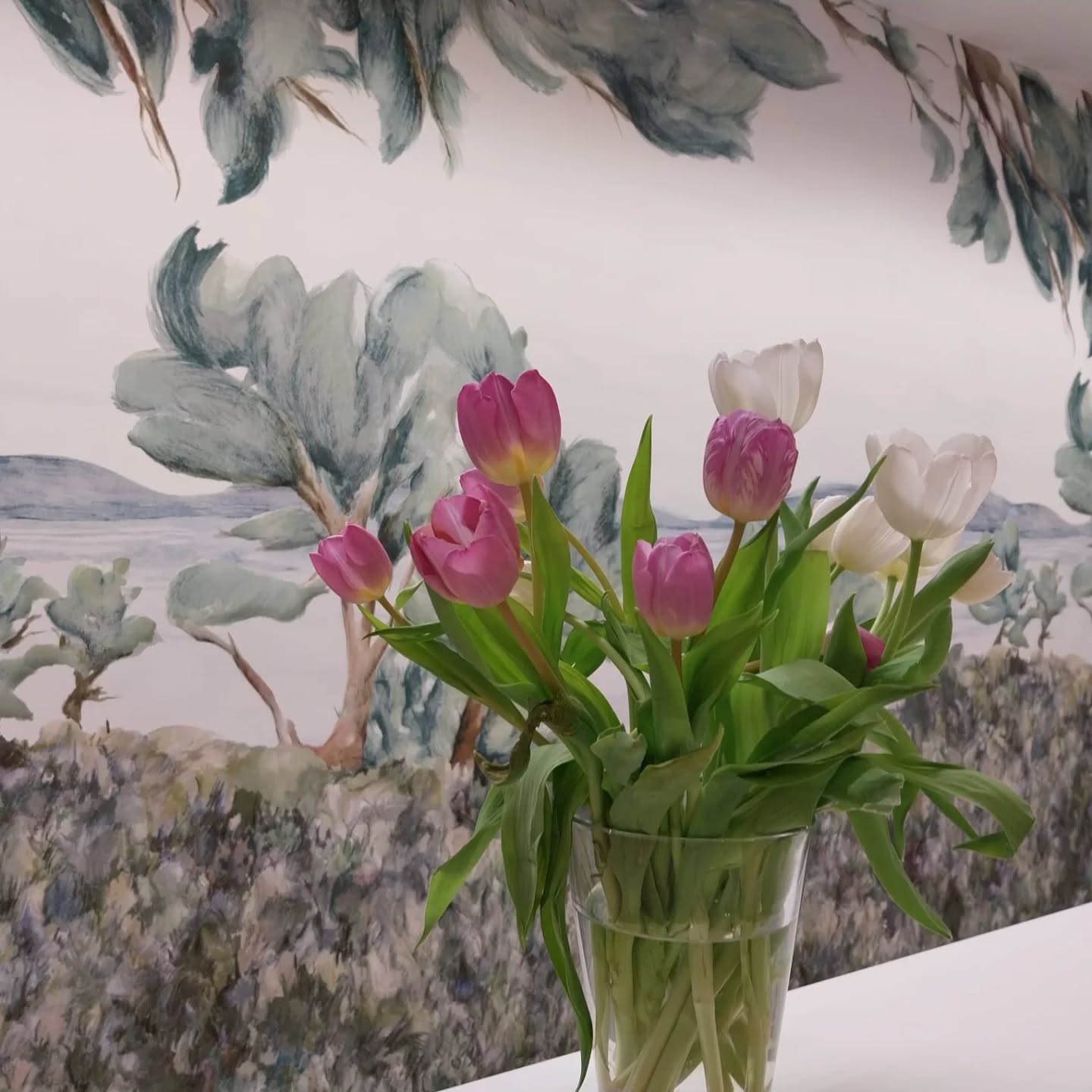 Noch kein Frühling, aber die ersten Tulpen 🌷